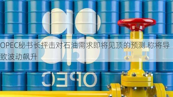 OPEC秘书长抨击对石油需求即将见顶的预测 称将导致波动飙升
